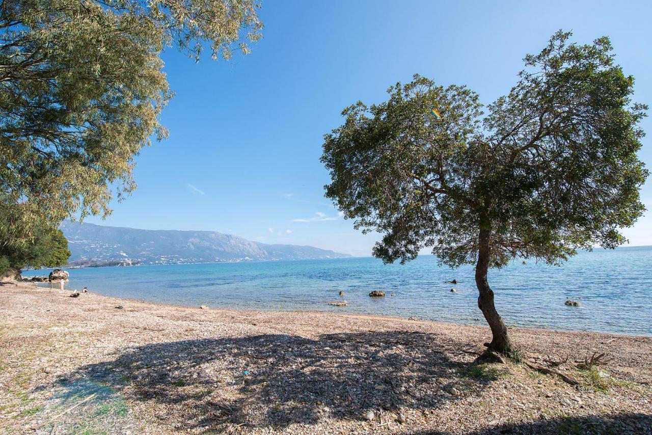 Spyrelia Villa With Private Pool & Outdoor Hot Tub Dassia  Exterior photo